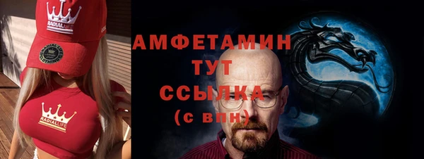 твердый Инсар