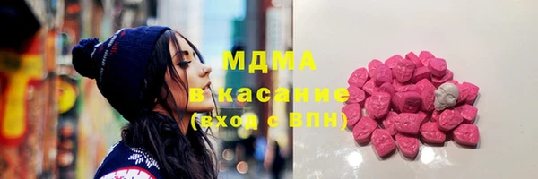 твердый Инсар