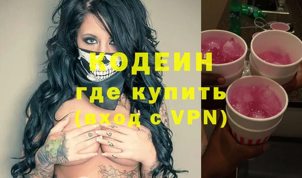твердый Инсар