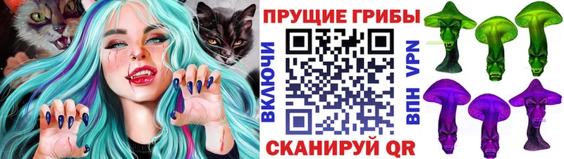Купить где  Правдинск  Галлюциногенные грибы Magic Shrooms 